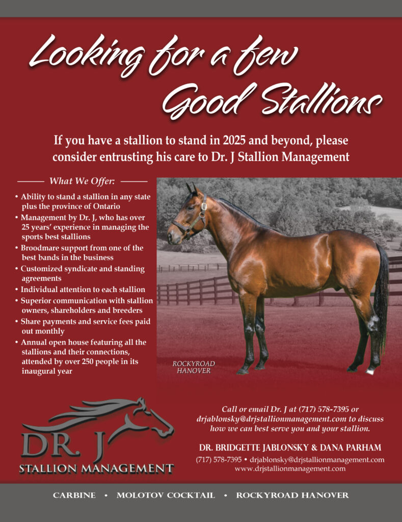 New 2024_DrJSM- Stallions